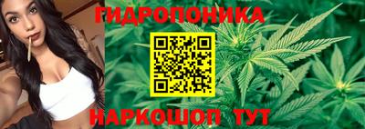 гидра Комсомольск-на-Амуре