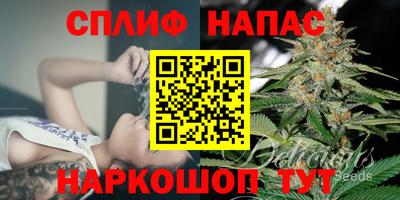 спиды Коммунар