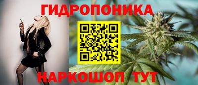 спиды Коммунар
