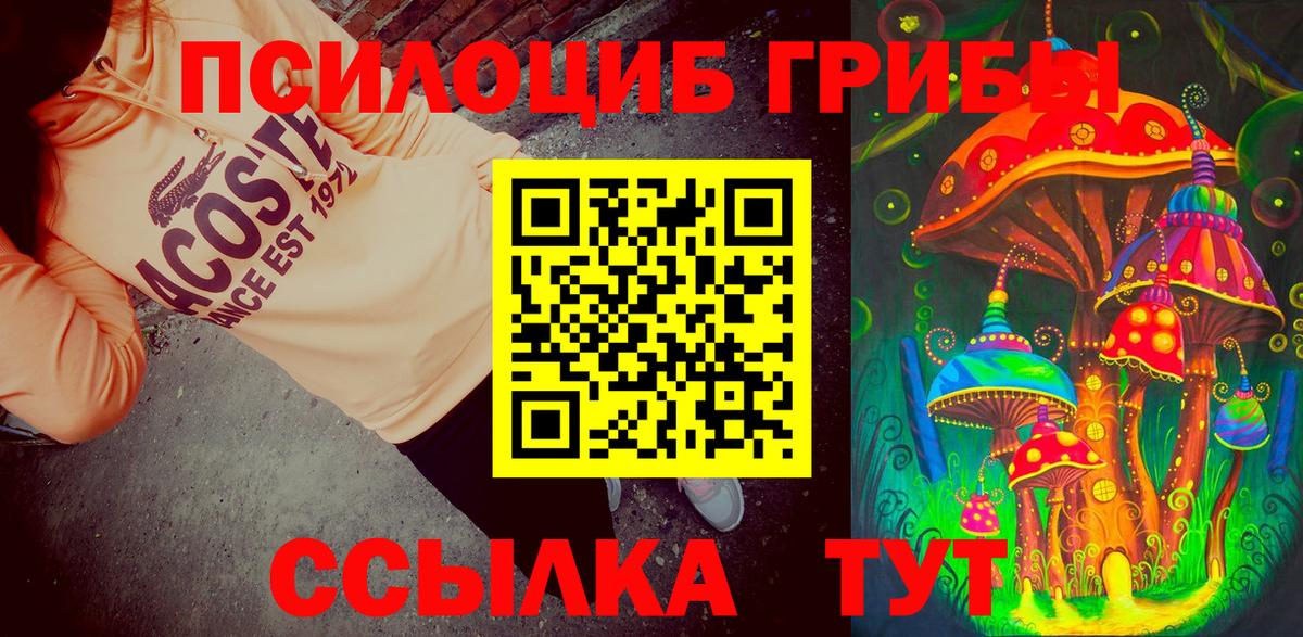 Галлюциногенные грибы MAGIC MUSHROOMS Черняховск