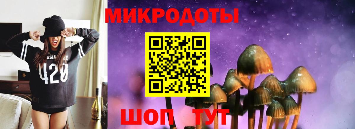 купить   Вход с VPN  Псилоцибиновые грибы прущие грибы  Черняховск  Галлюциногенные грибы Magic Shrooms 